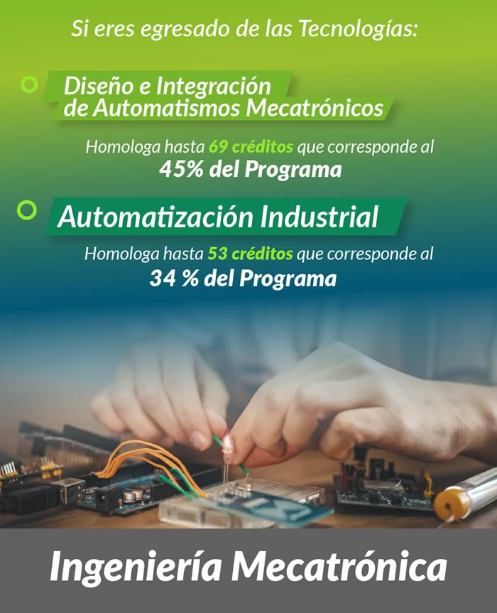 Descripción de la imagen