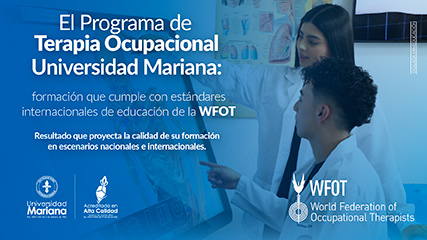 Noticia: Terapia Ocupacional: formación que cumple con estándares internacionales de educación de la WFOT